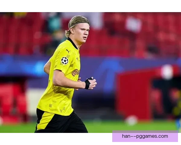 哈兰德意甲赛场高光时刻全景回顾与进球统治力解析巅峰表现深度盘点